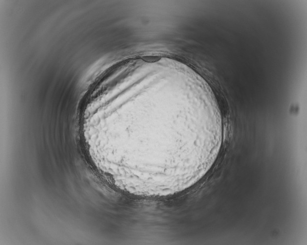 X0000115110339200911171310