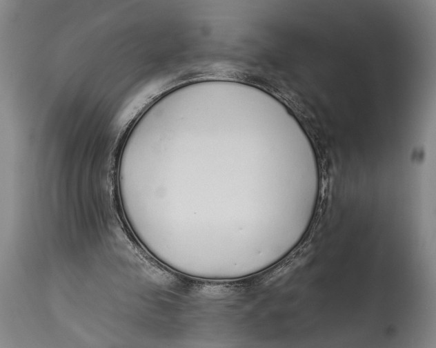 X0000115110341200911171310
