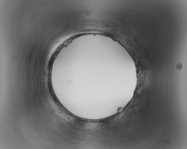 X0000115110342200911171310