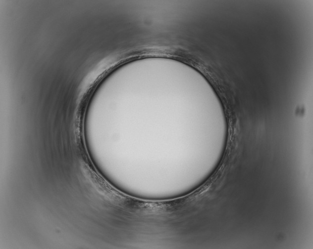 X0000115110343200911171310