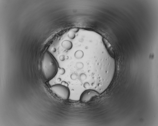 X0000115110347200911171310