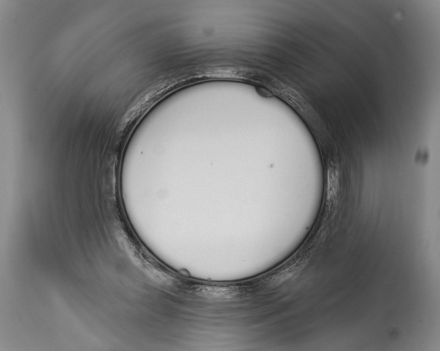X0000115110349200911171310