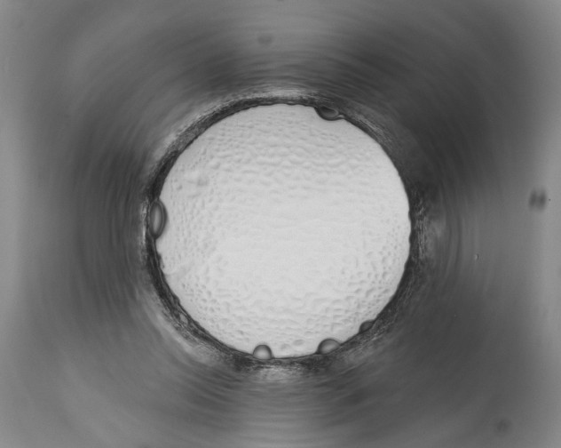 X0000115110350200911171310