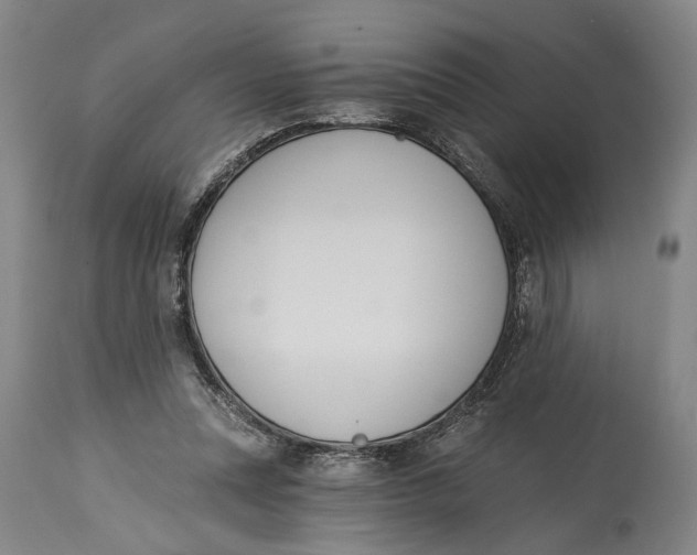 X0000115110351200911171310