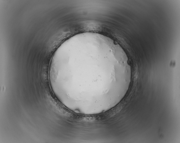 X0000115110353200911171310