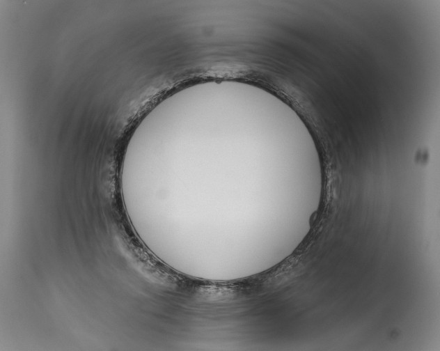 X0000115110354200911171310