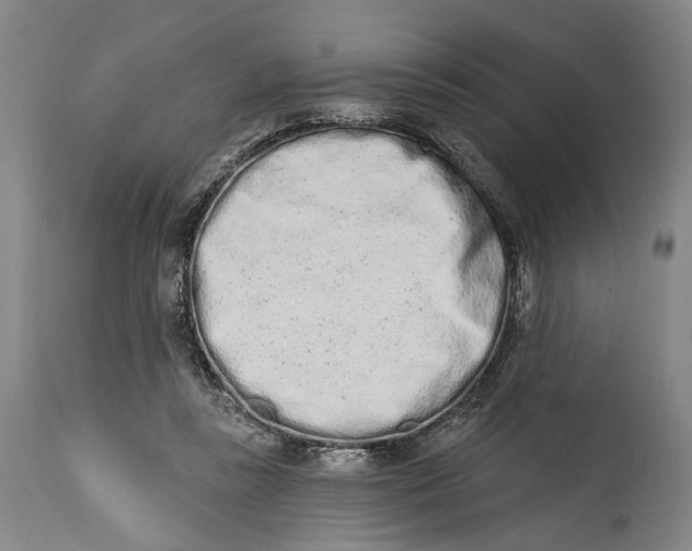 X0000115110355200911171310
