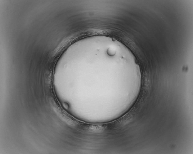 X0000115110357200911171310
