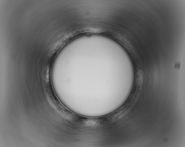 X0000115110358200911171310