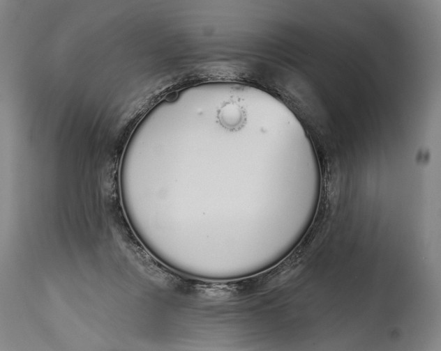 X0000115110359200911171310