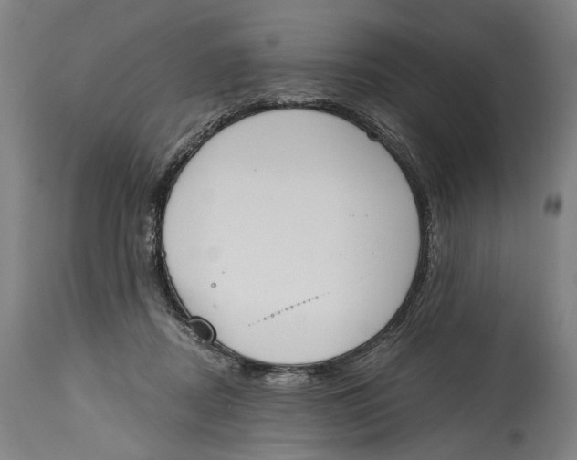 X0000115110362200911171310