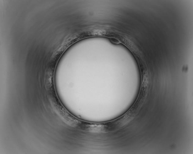 X0000115110363200911171310