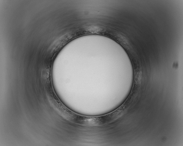 X0000115110365200911171310
