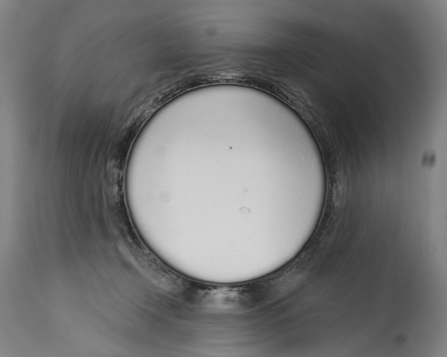 X0000115110366200911171310