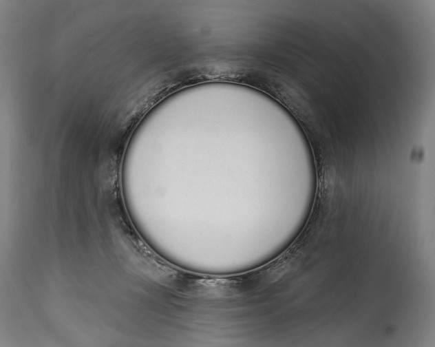 X0000115110367200911171310