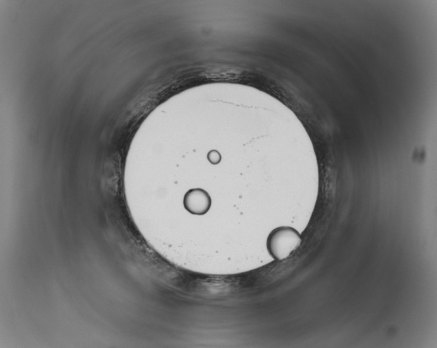 X0000115110370200911171310