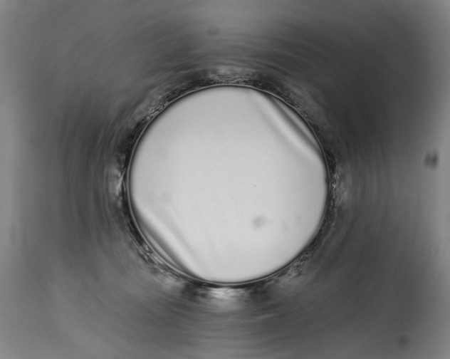 X0000115110371200911171310
