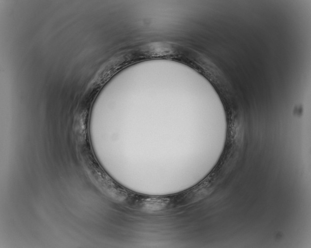 X0000115110373200911171310