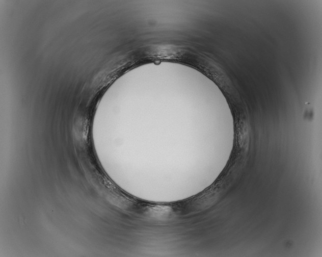 X0000115110374200911171311