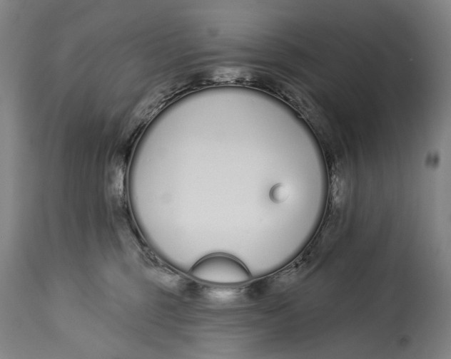 X0000115110375200911171311