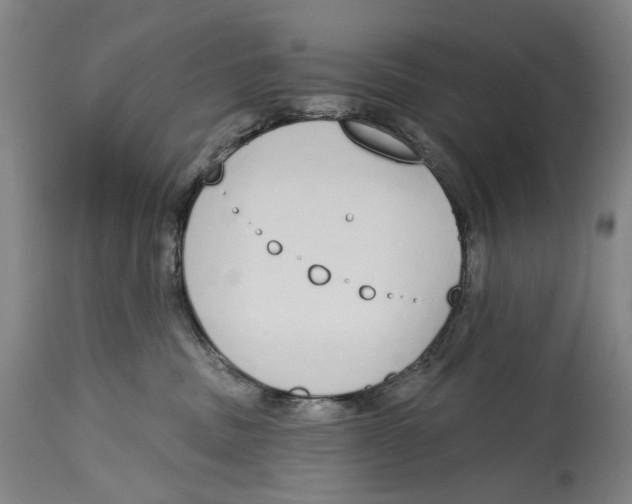 X0000115110379200911171311