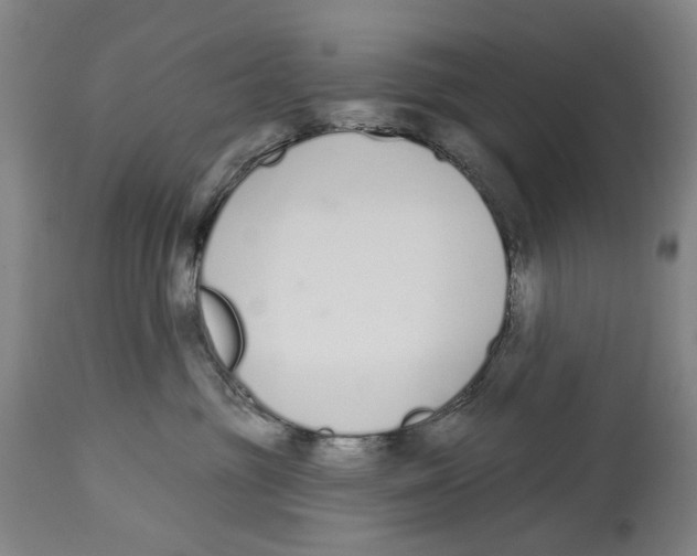 X0000115110381200911171311