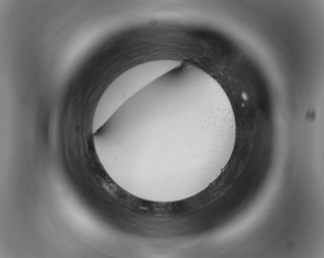 X0000115110382200911171311