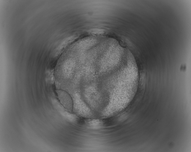 X0000115110383200911171311