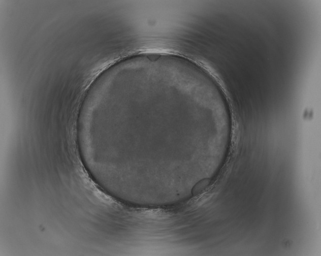 X0000115110385200911171310