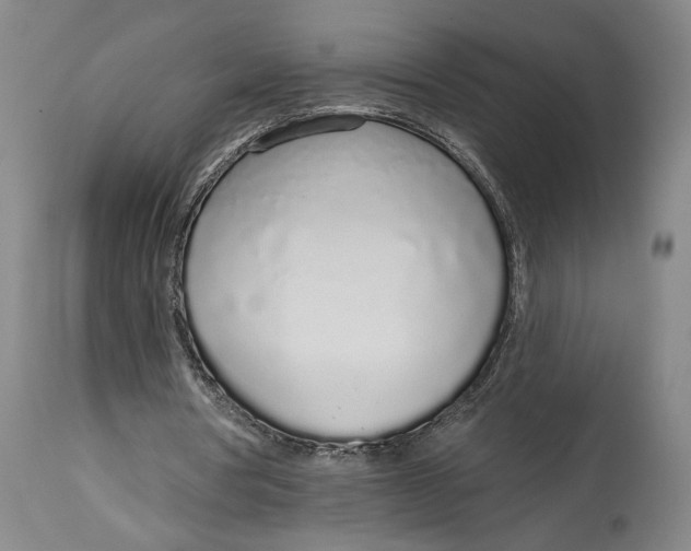 X0000115110386200911171310