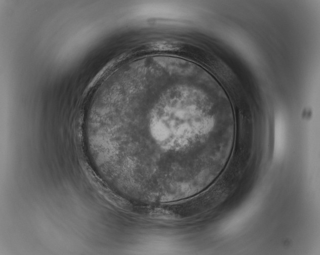 X0000115110387200911171310