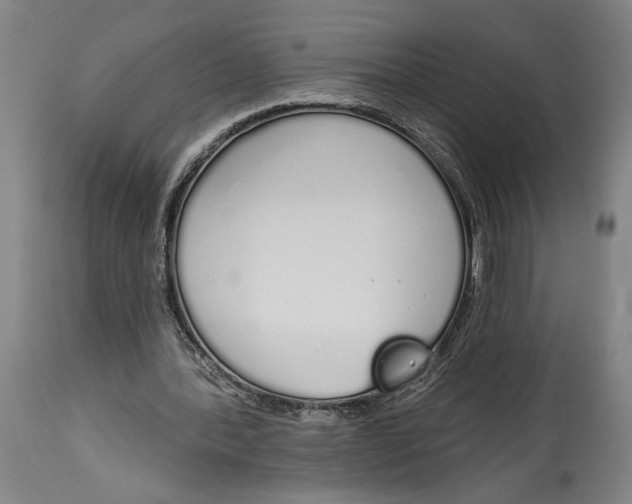 X0000115110388200911171310