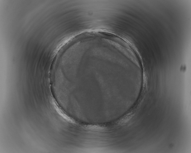 X0000115110389200911171310
