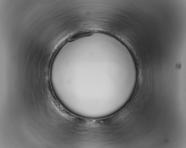 X0000115110390200911171310