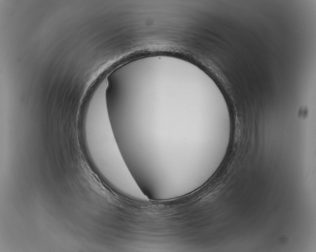 X0000115110391200911171310