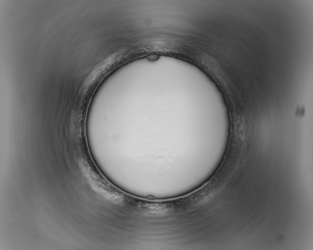 X0000115110395200911171310