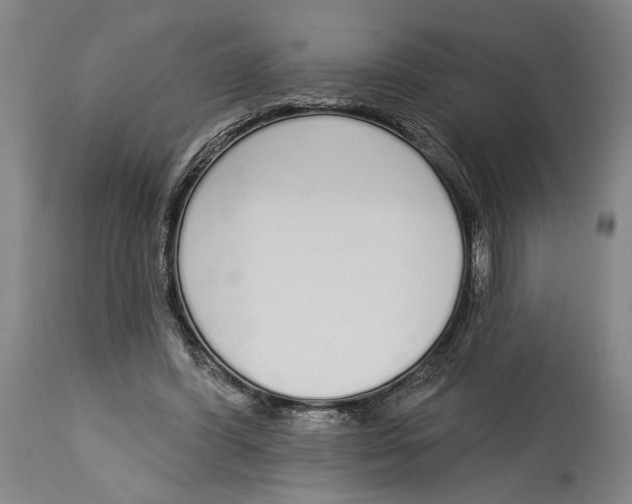 X0000115110396200911171310