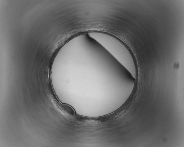 X0000115110397200911171310