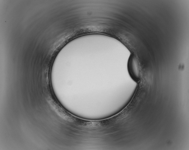 X0000115110398200911171310