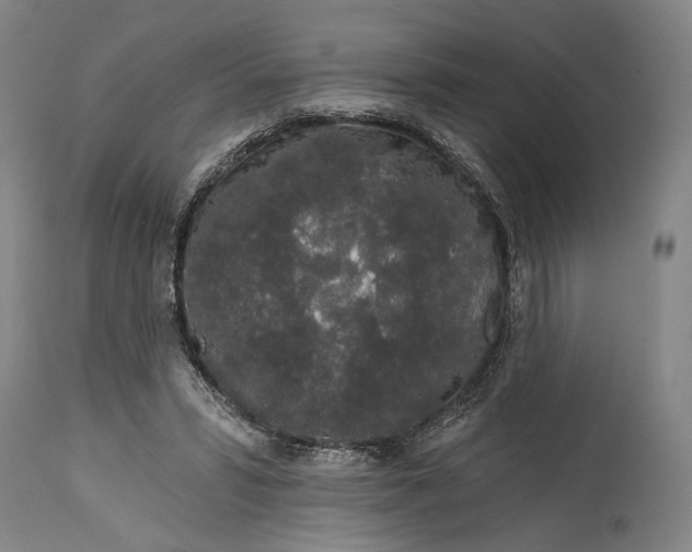X0000115110399200911171310