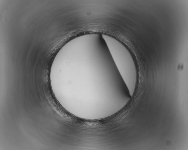 X0000115110401200911171310