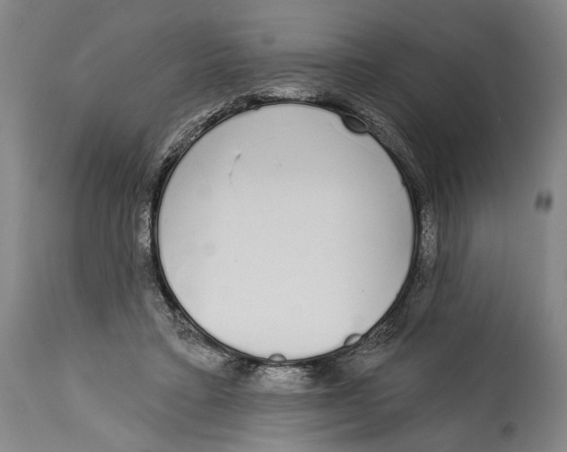 X0000115110403200911171310