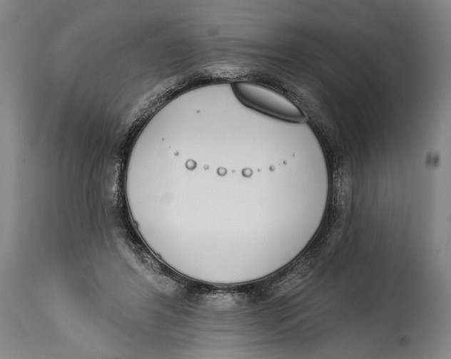X0000115110404200911171310