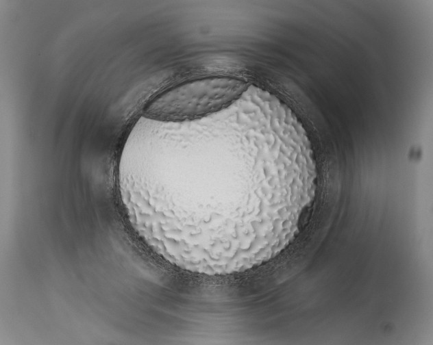 X0000115110405200911171310
