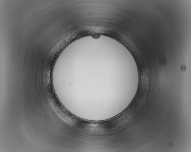 X0000115110406200911171310
