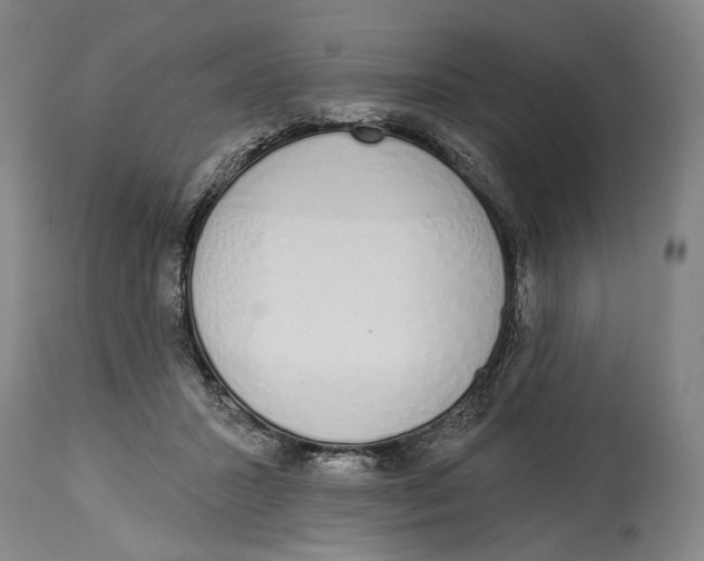 X0000115110407200911171310