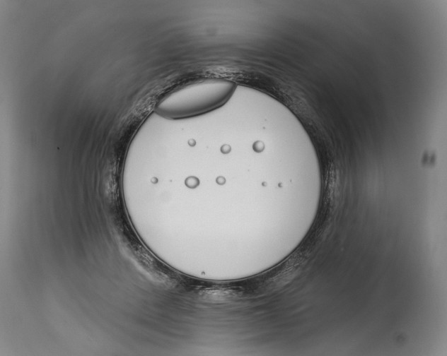 X0000115110408200911171310