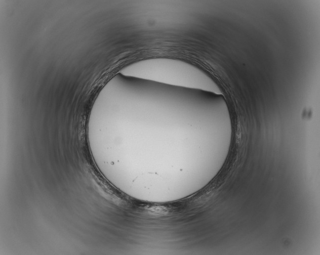X0000115110409200911171310