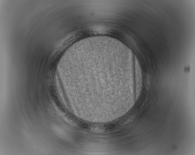 X0000115110410200911171310