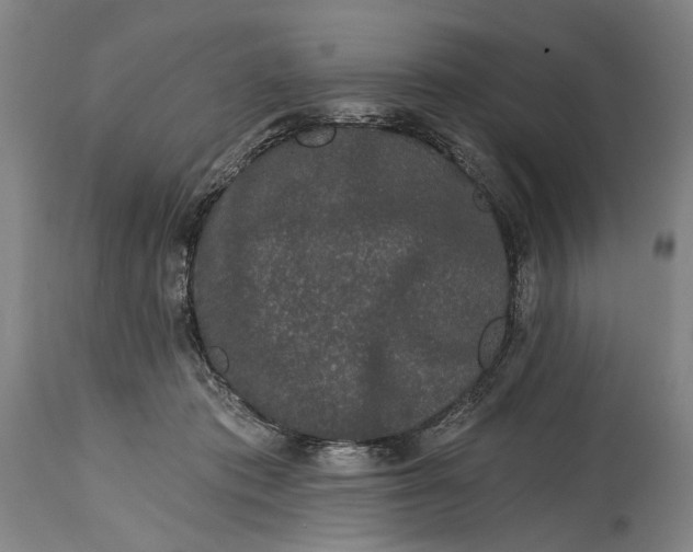 X0000115110413200911171310